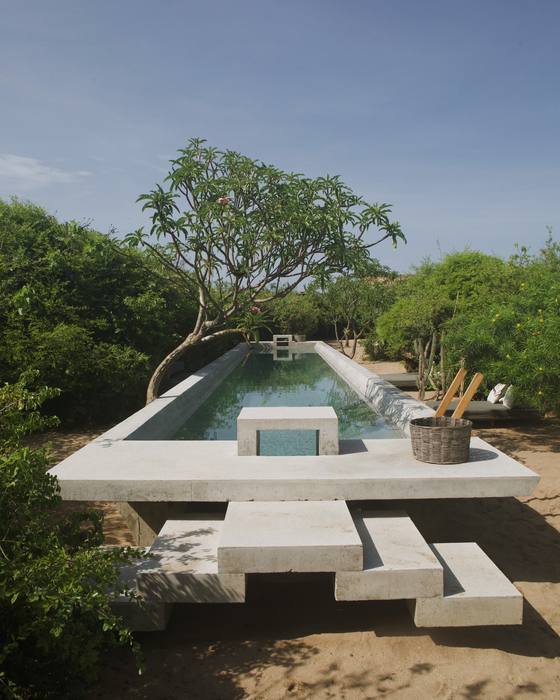 The lap pool and the frangipani