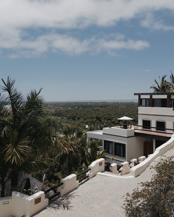 The unit set into the palms above the oasis